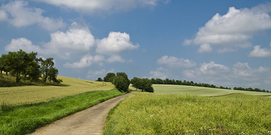 Les chemins d'exploitation