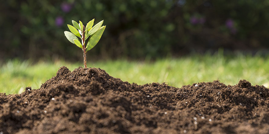 Précision sur les mentions propres aux permis de construire sous contrôle environnemental