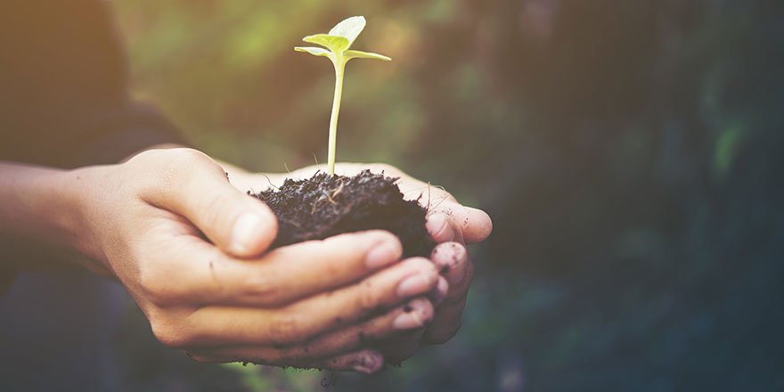 Qu’est-ce que la certification « Haute Valeur Environnementale » (HVE) ?