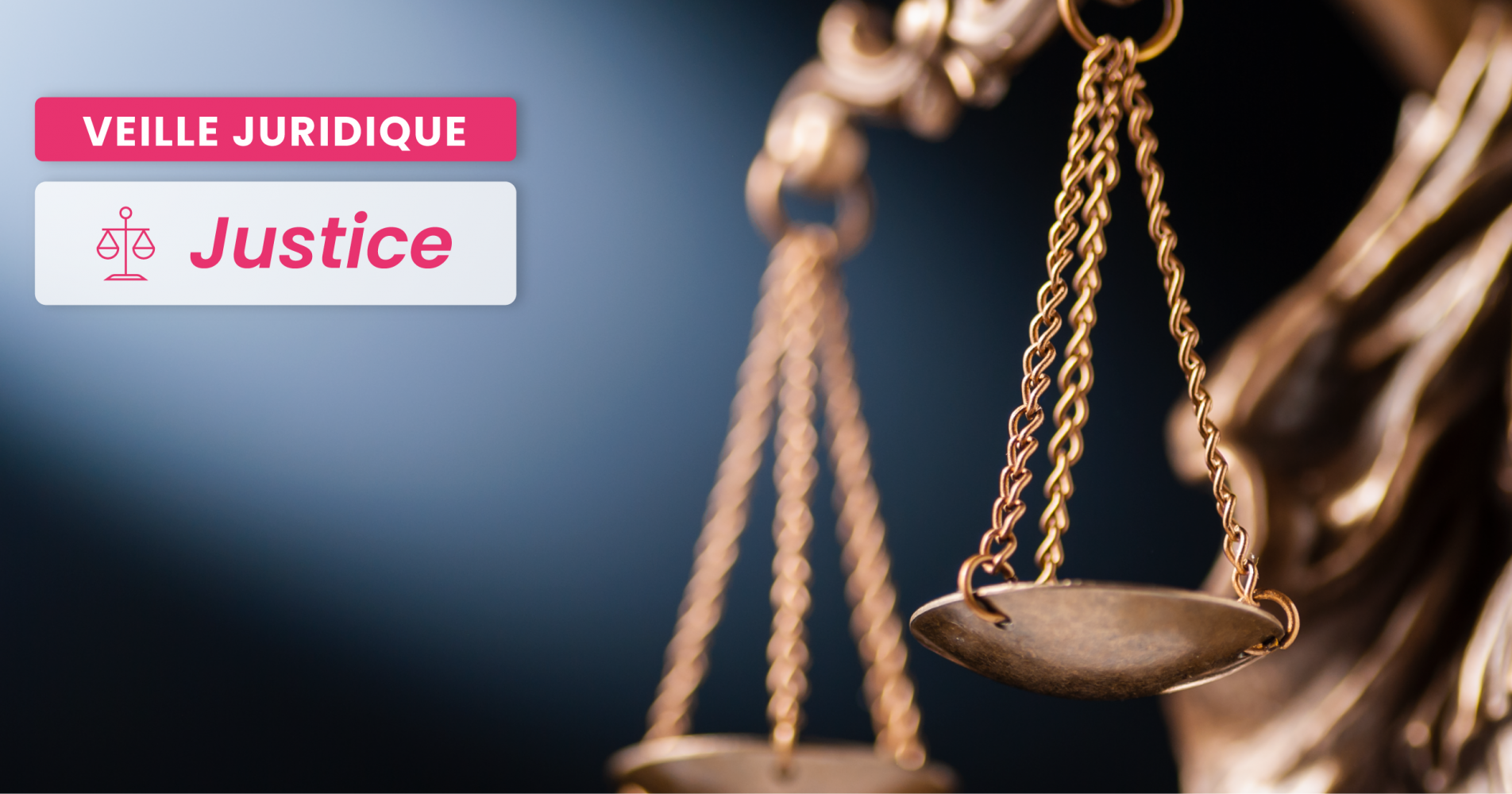 PROFESSIONS RÉGLEMENTÉES – La vente aux enchères publiques de biens indivis autorisée par le juge des tutelles viole-t-elle le monopole des commissaires-priseurs judiciaires ?