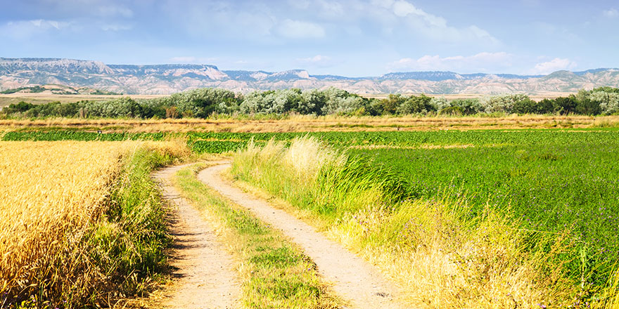 Les chemins d’exploitation