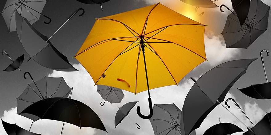 Assurance et clauses d'exclusion de garantie