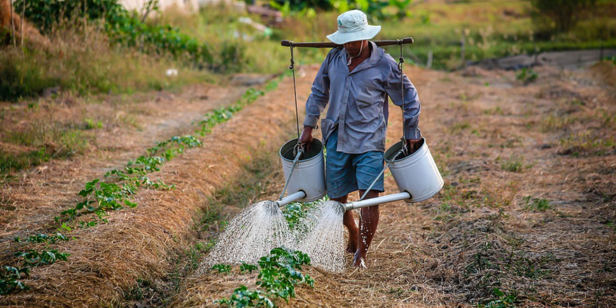 Contrat de travail saisonnier : caractéristiques et limites