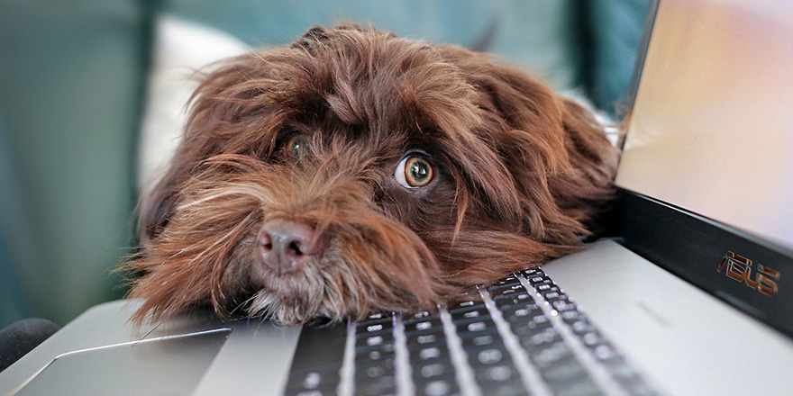 Précisions sur la prise en charge de la dépression au titre des maladies professionnelles