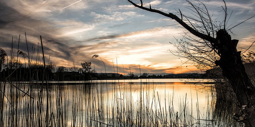 Les surfaces agricoles pourront désormais être préemptées pour cause de préservation des ressources d'eau