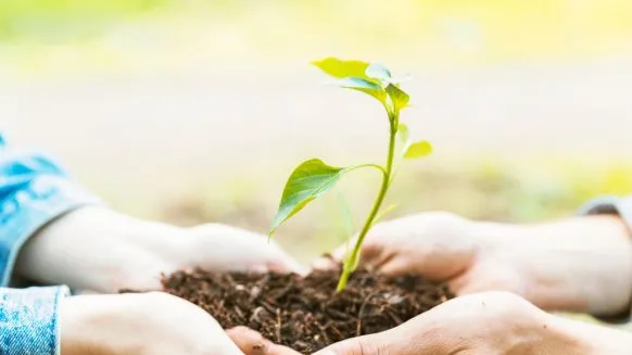 Les obligations réelles environnementales - Crédit photo : &copy; @freepik