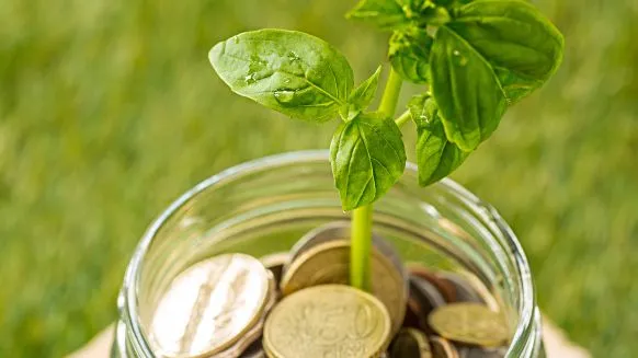 Focus sur le plan d'épargne entreprise - Crédit photo : &copy; @freepik