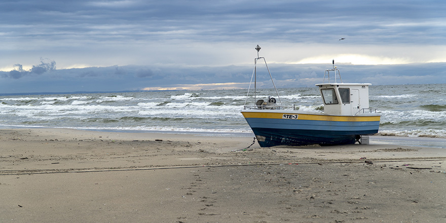Pollution, dol et vice caché : annulation de la vente