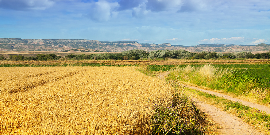 Exploitations agricoles et servitudes