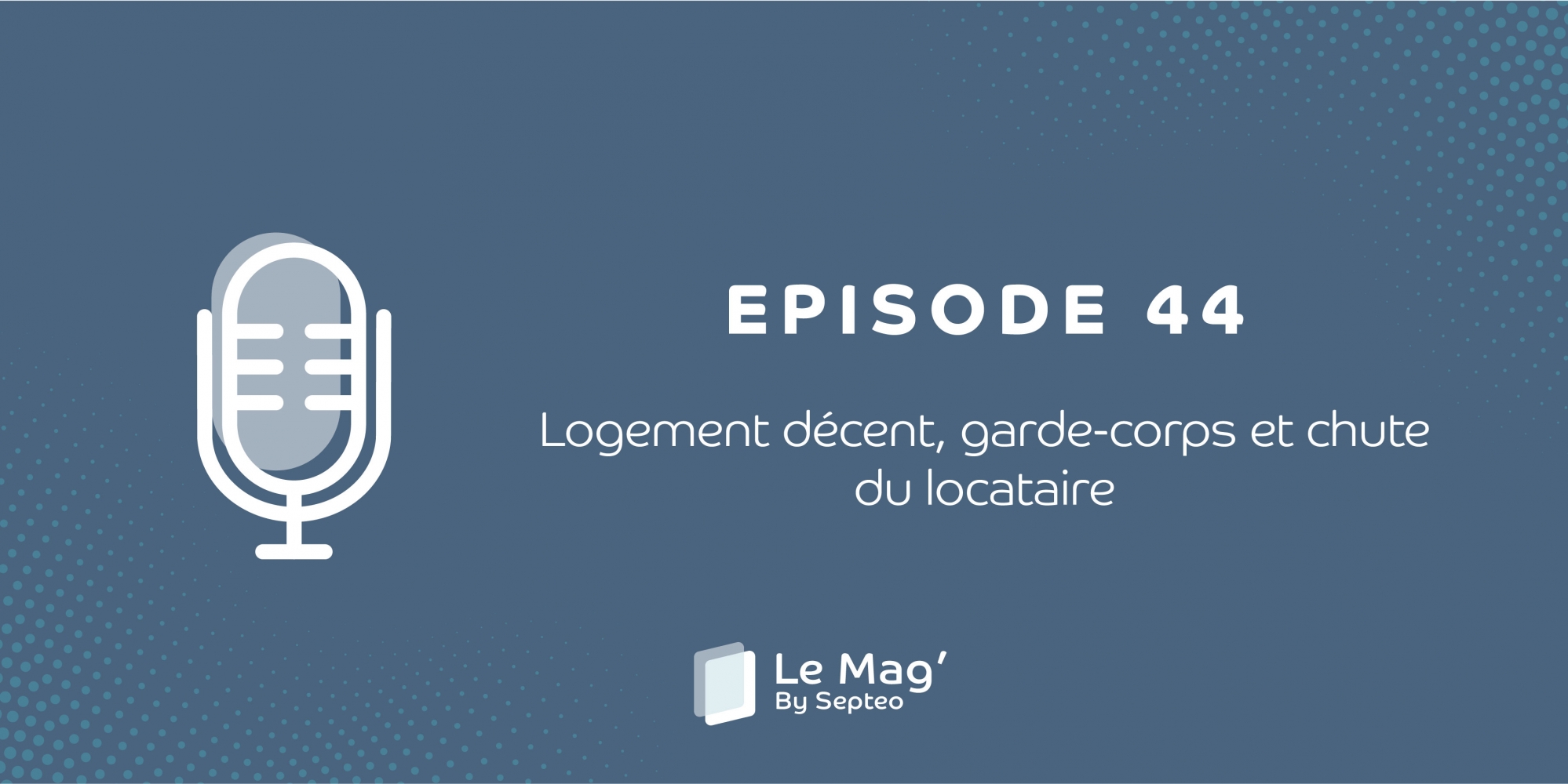 EPISODE 44 : Logement décent, garde-corps et chute du locataire