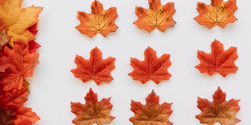 Donation-partage évolution jurisprudence