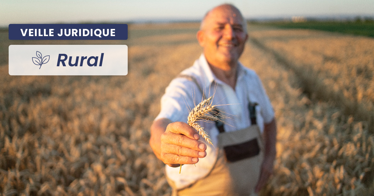 RURAL - Bail rural : le défaut d’habitation à proximité du fonds doit être mentionné dans le congé pour justifier le non-renouvellement du bail