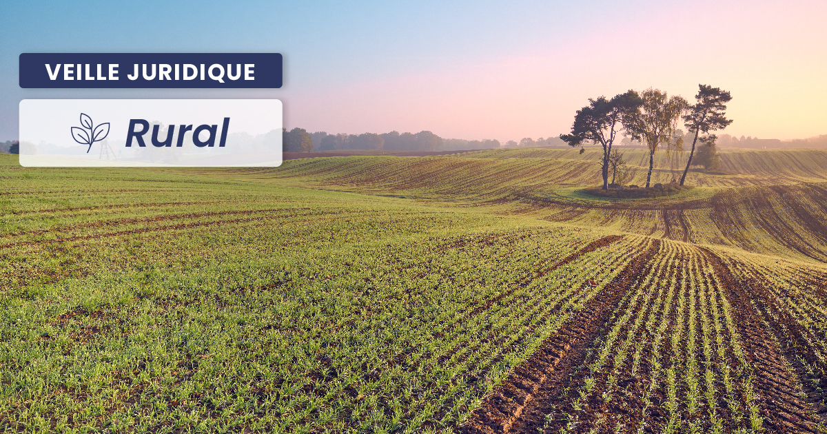 RURAL – Le fermier peut-il préempter uniquement les parcelles louées en cas de vente globale ?