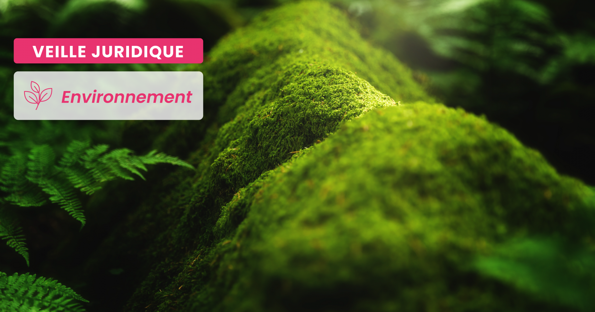 ENVIRONNEMENT – Lutte contre les émissions de gaz à effet de serre : injonction ordonnée par le Conseil d’État, mais sans astreinte…