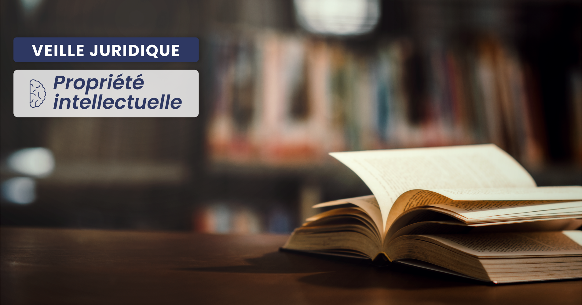 PROPRIÉTÉ INTELLECTUELLE – Marques de créateurs : entre usage trompeur et dénigrement commercial