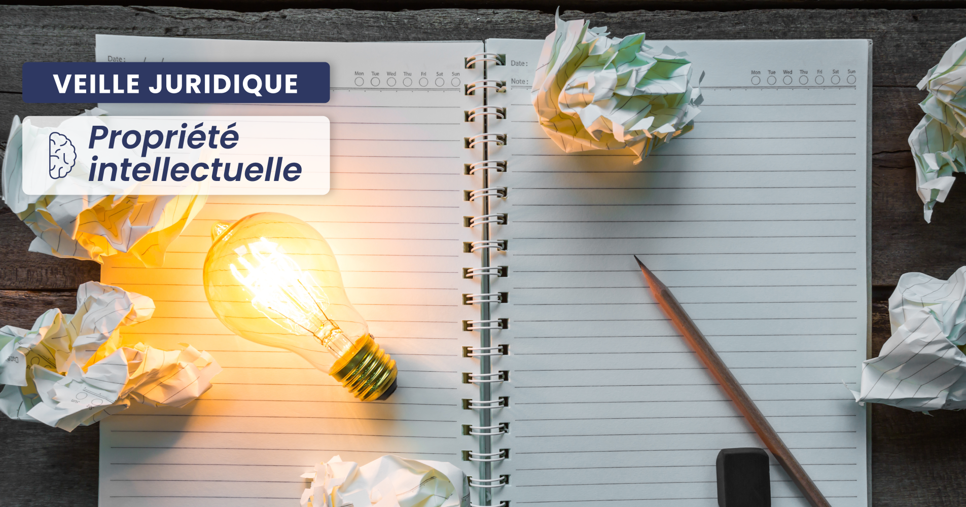 PROPRIÉTÉ INTELLECTUELLE – Les bronzes réalisés par surmoulages ne sont pas des œuvres originales