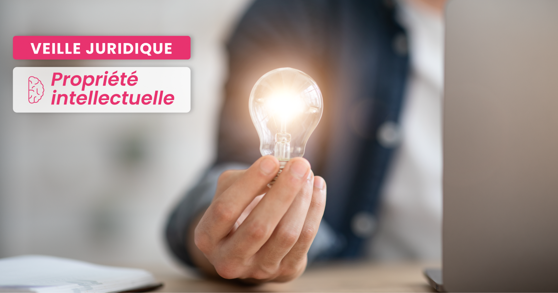 PROPRIÉTÉ INTELLECTUELLE – La publication d'une demande de brevet ne divulgue au public que les caractéristiques techniques et les informations relatives à l'invention qu'elle contient 